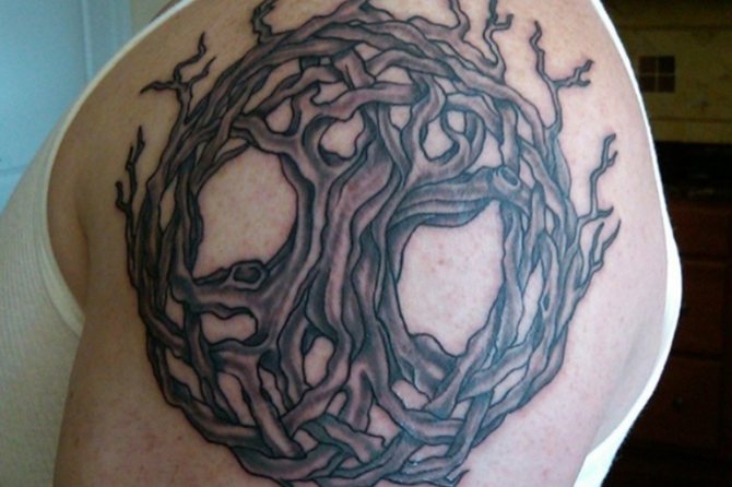 Yggdrasil