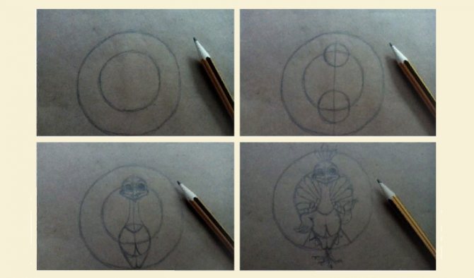 Instructions sur la façon de dessiner un paon