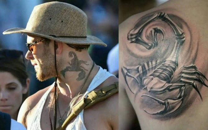 Image du scorpion