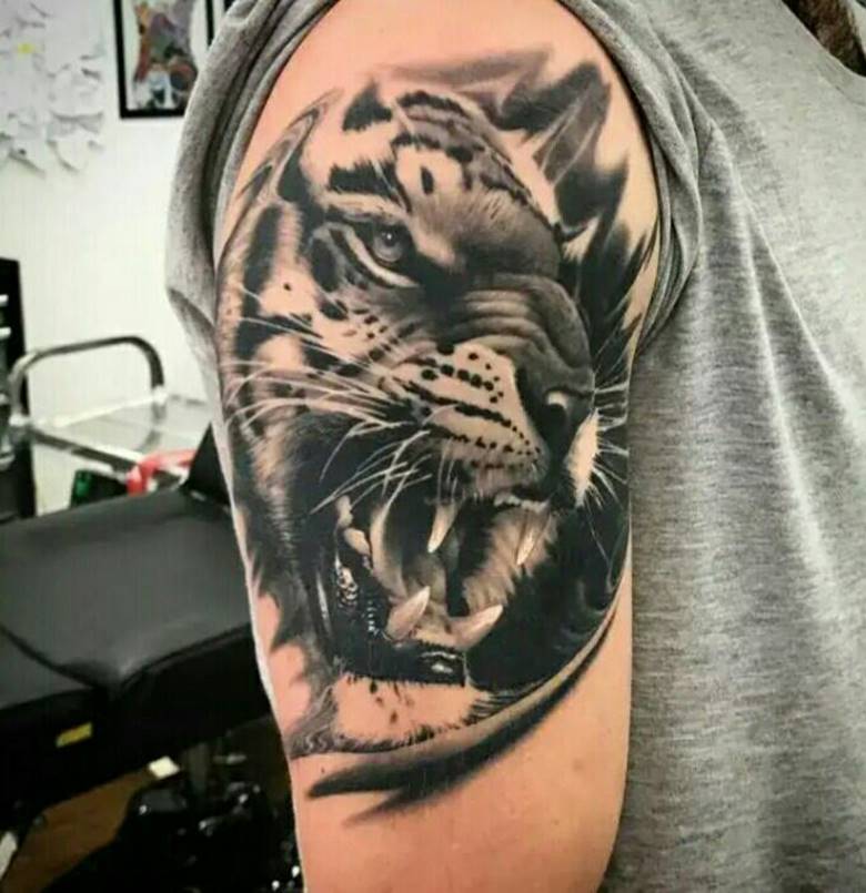 Image du tigre