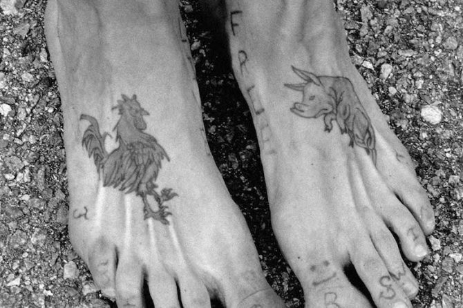 Images d'un coq et d'un cochon - amulettes contre la mort dans les vagues de la mer