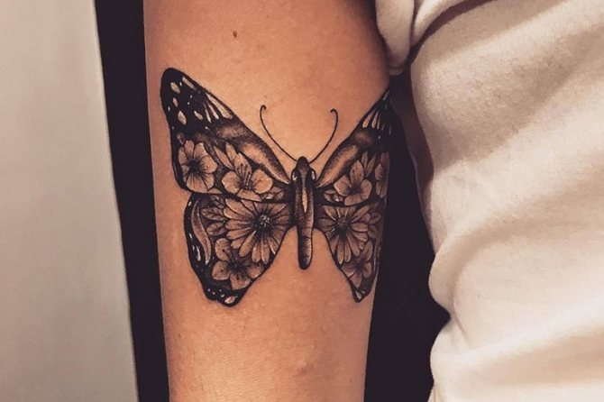 Images de papillons au henné