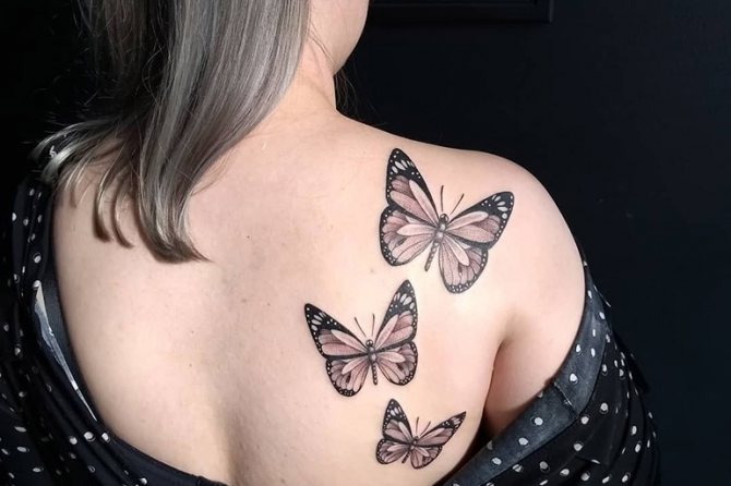 Images de papillons au henné