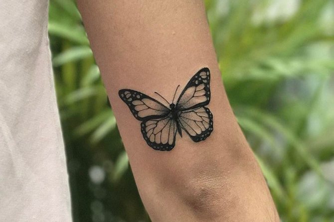 Images de papillons au henné