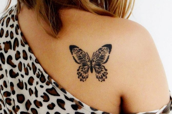 Images de papillons au henné