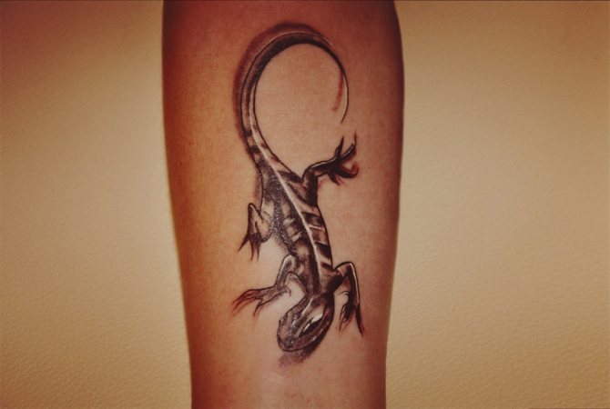 Un tatouage de lézard mince attire le succès avec de l'argent