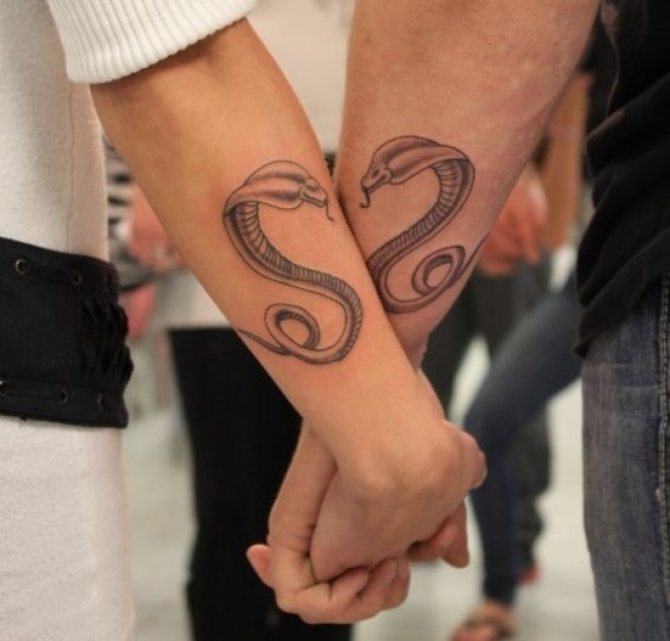 Tatouage exquis de serpent apparié