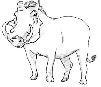 Dessiner un sanglier pour les enfants crayon et peinture