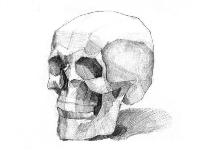 Comment dessiner un crâne