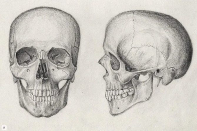 Comment dessiner un crâne