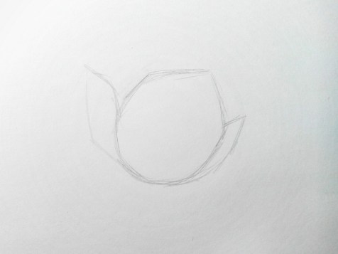 Comment dessiner une fleur avec un crayon ? Une leçon étape par étape. Étape 2 - Dessins au crayon - Fenlin.ru