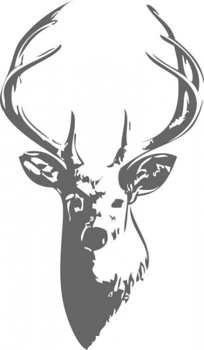 comment dessiner une tête de cerf étape par étape