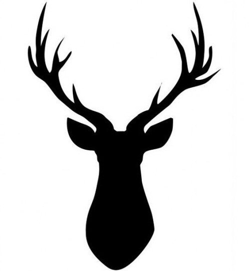 comment dessiner une tête de cerf étape par étape