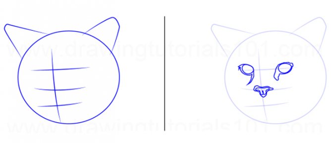 Comment dessiner un chat
