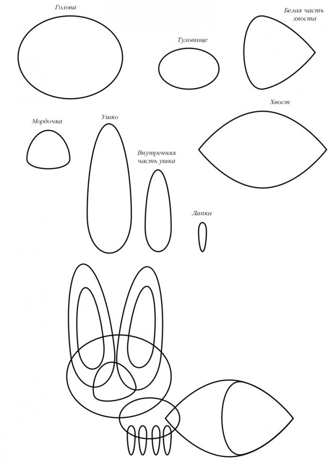 Comment dessiner un renard