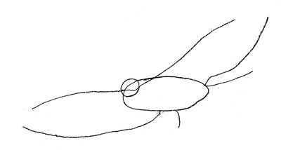 Comment dessiner un aigle, étape 2