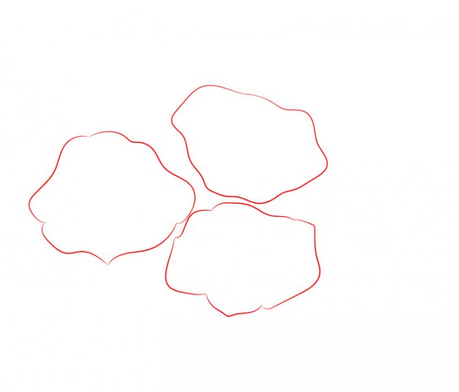 Comment dessiner une rose