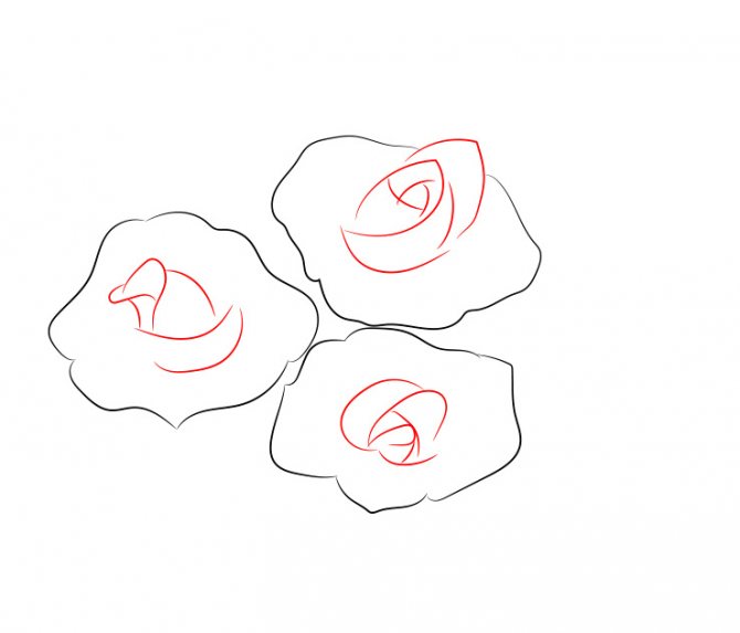 Comment dessiner une rose