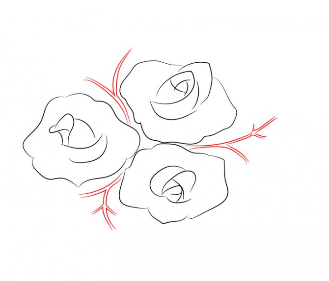 Comment dessiner une rose