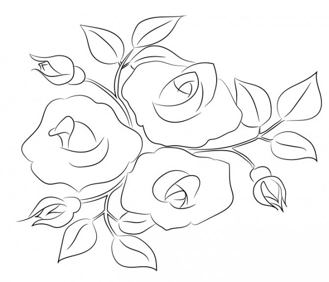 Comment dessiner une rose