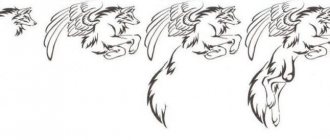 comment s'appelle un loup avec des ailes