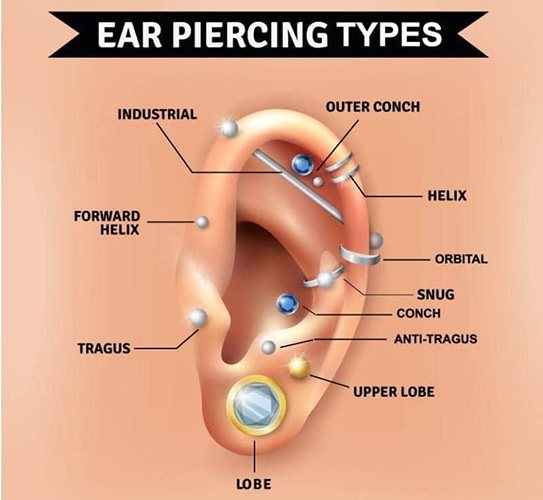 Comment percer correctement les oreilles sur les pointes. Schéma, photo