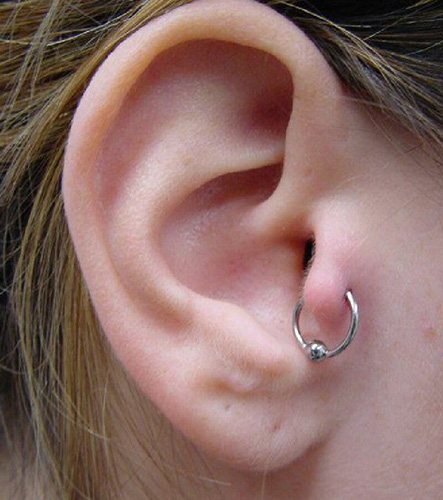 Comment percer correctement les oreilles sur les pointes. Schéma, photo