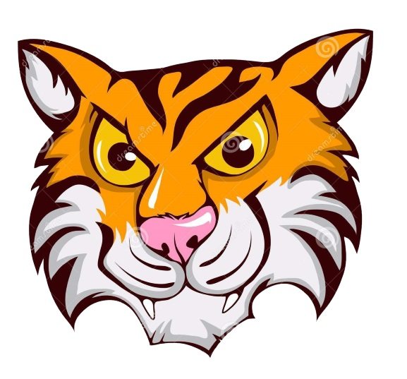 comment dessiner un tigre vorace.