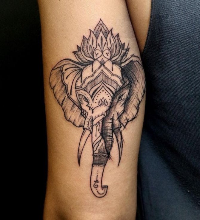 ce que signifie l'éléphant