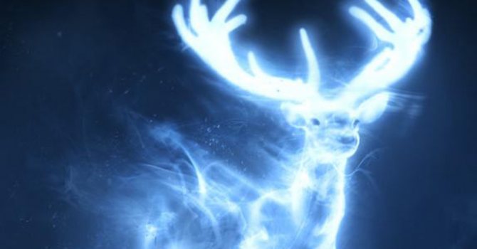 Comment découvrir votre totem - patronus de cerf