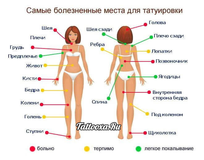 Carte de la douleur des tatouages pour le corps féminin