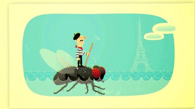 photo d'un Français sur une mouche