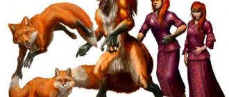 kitsune est