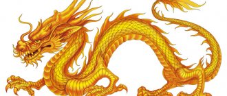 Dragons chinois - symboles de la Chine
