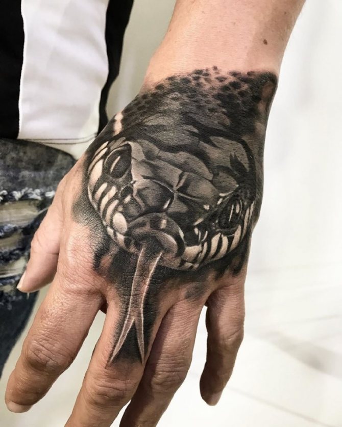 dessin de tatouage cobra