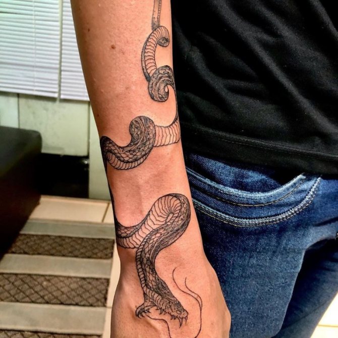tatouage cobra