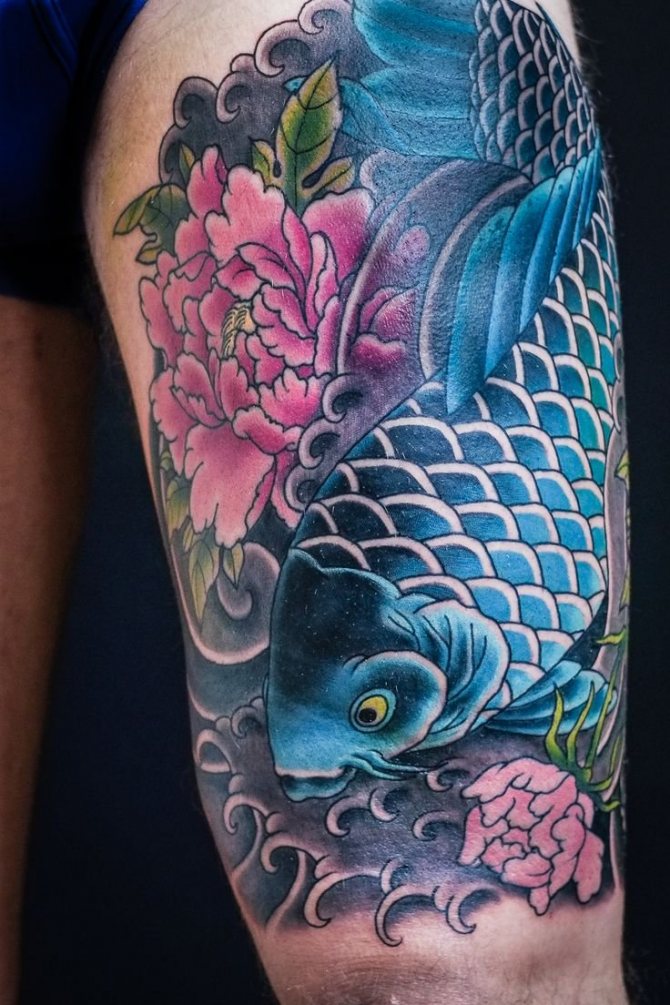 Koi à pied
