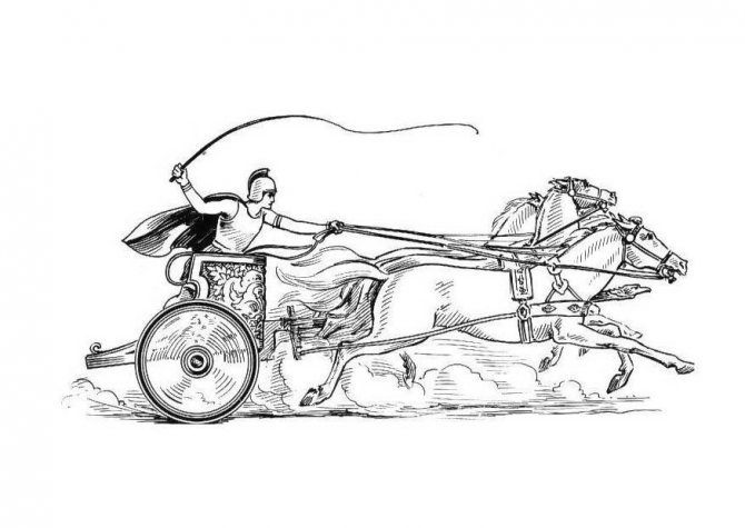 Chariot - grand bagage de connaissances et bon développement mental