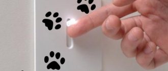 Pattes de chat