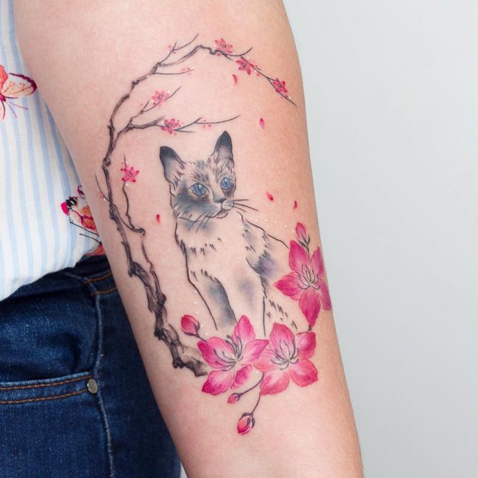 Chat et Sakura au bras d'une fille