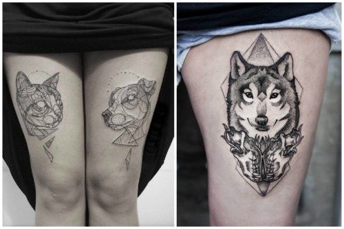 chat et chien et loup