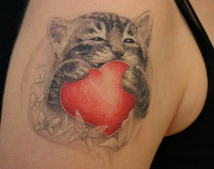 un chaton et un cœur