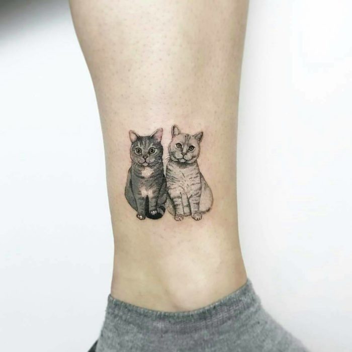 Chatons