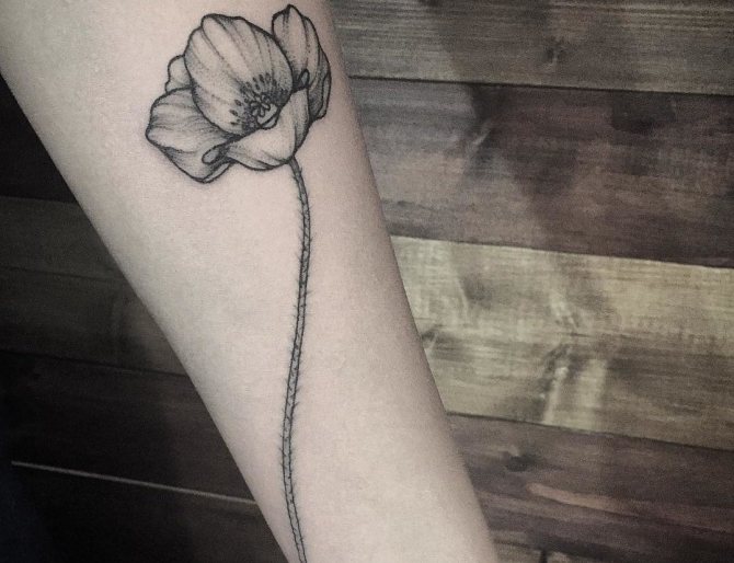 Un beau tatouage pour les filles