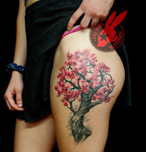 Magnifique arbre Sakura sur pied