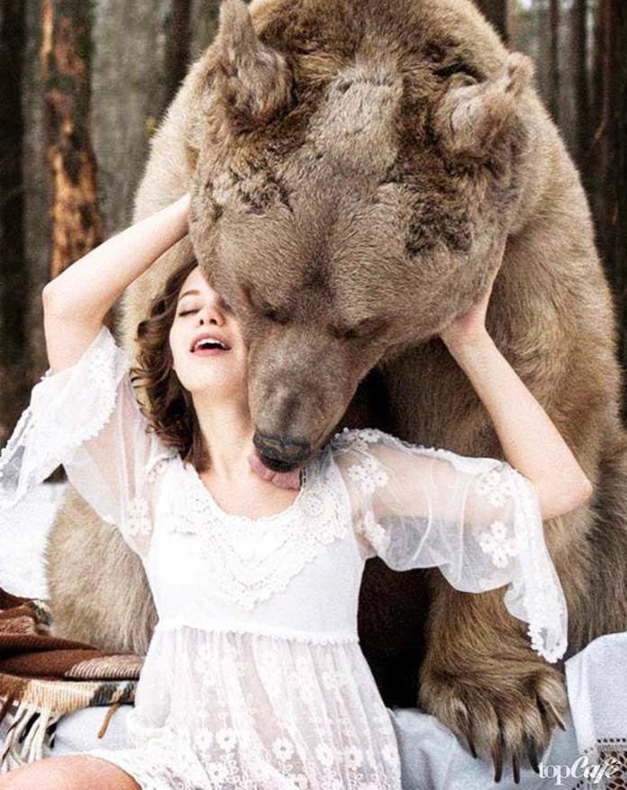 De belles photos d'ours