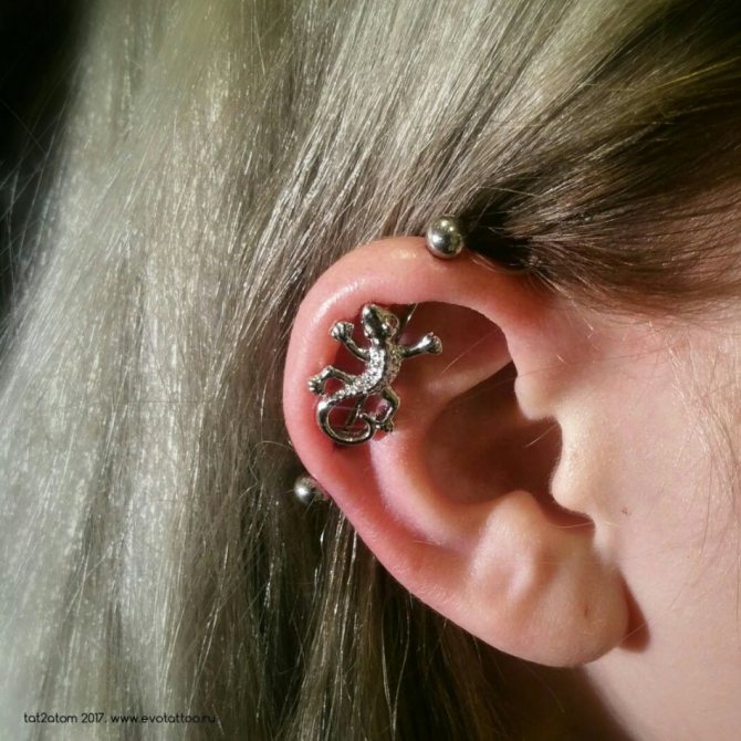 Un beau piercing industriel à l'oreille : le bar Salamander