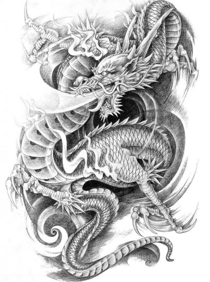 Magnifique tatouage de dragon