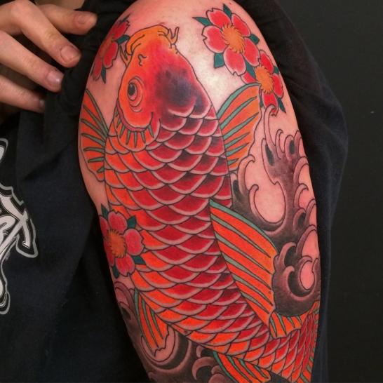 Coloration des poissons rouges