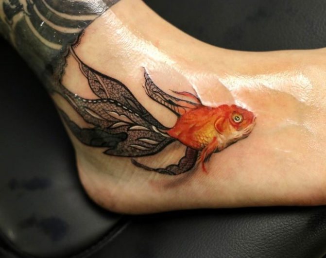 Poisson coloré